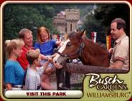 click to travel to their website