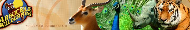 Click to go to Arbuckle Wilderness Web Site